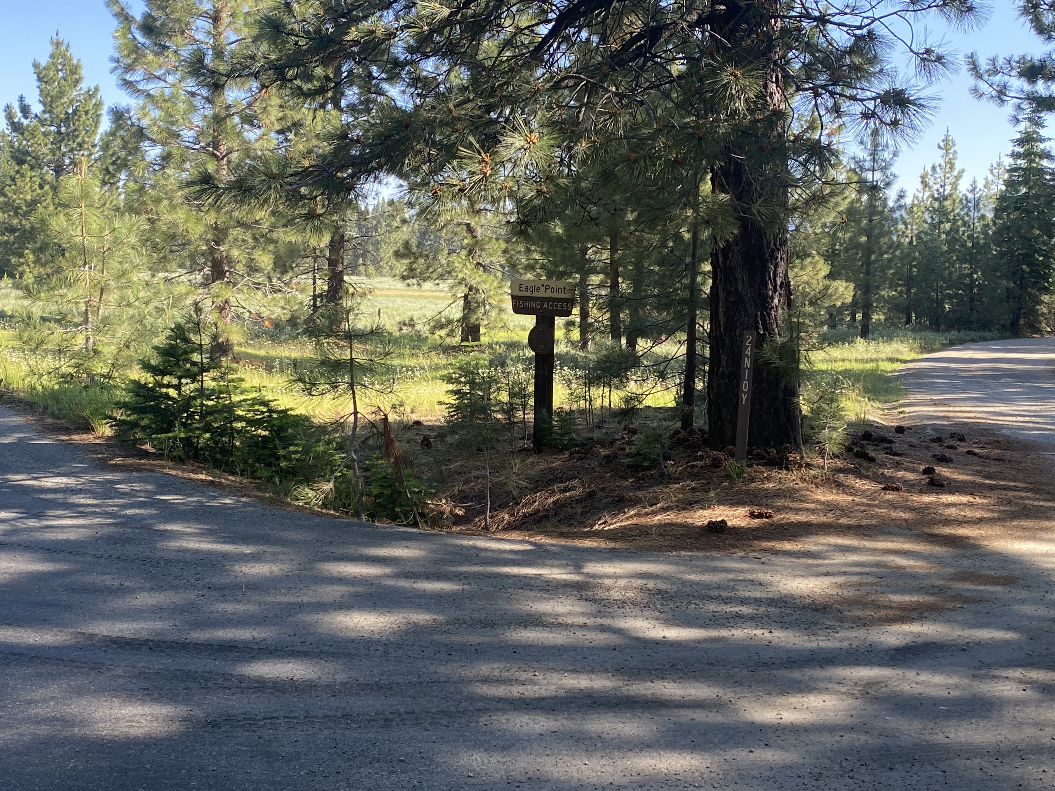 Sign under a tree where the road forks.